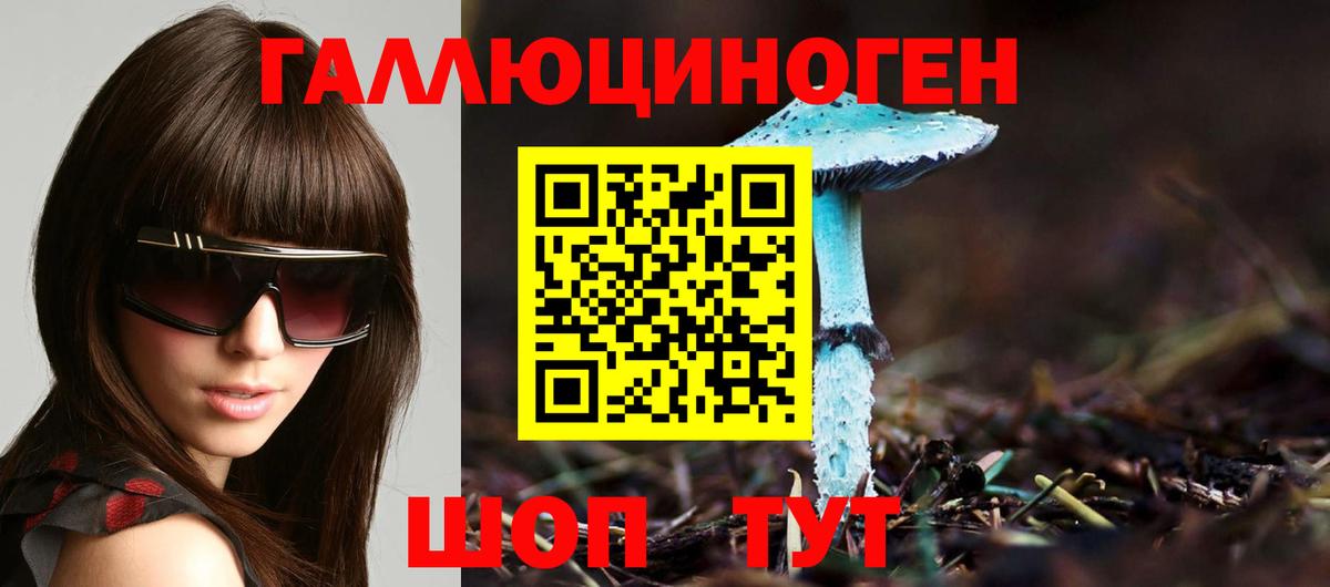 купить закладку  Галлюциногенные грибы GOLDEN TEACHER  Вход с VPN  Галлюциногенные грибы Psilocybine cubensis  Архангельск 