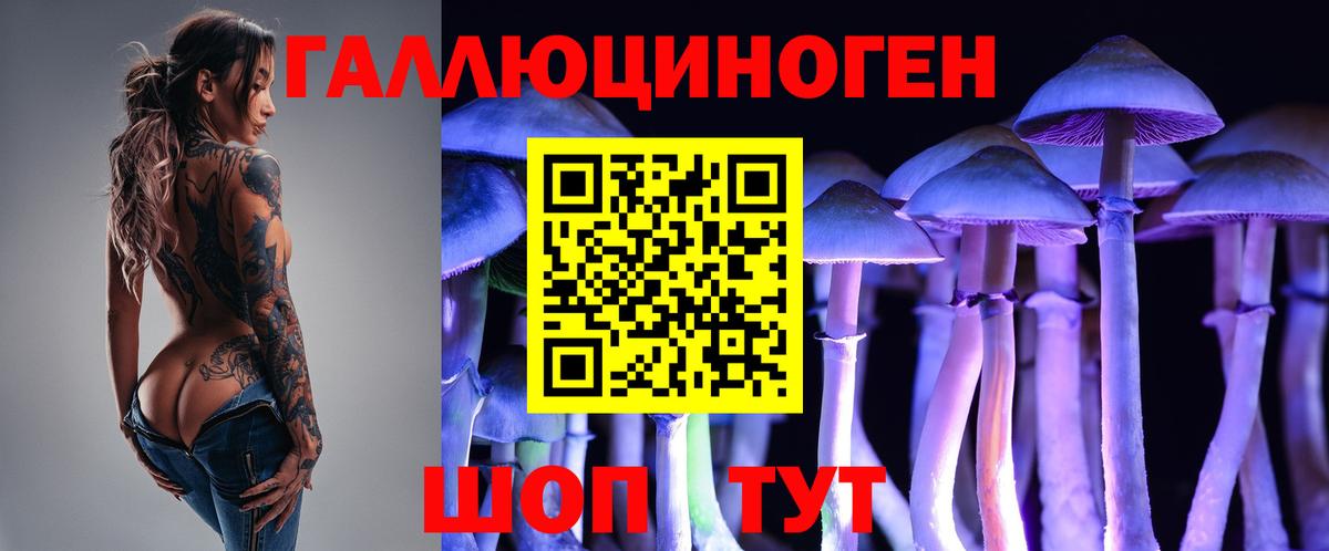 Псилоцибиновые грибы мицелий Архангельск