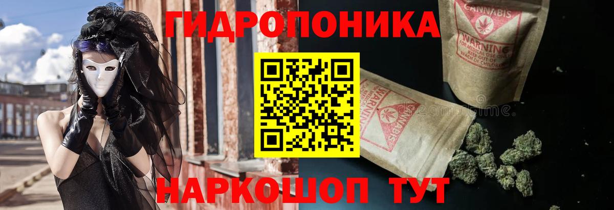 Бошки Шишки планчик Архангельск